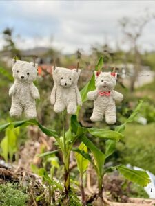 WhatsApp Image 2026-04-08 at 3.10.46 PM (2)